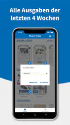 Main-Echo E-PAPER screenshot