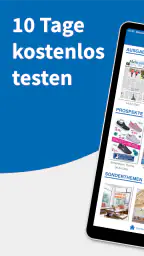 Main-Echo E-PAPER screenshot