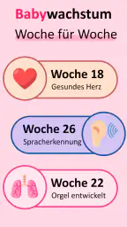 Mein schwangerschafts app screenshot