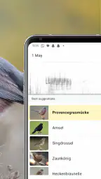 Merlin Bird ID von Cornell Lab screenshot