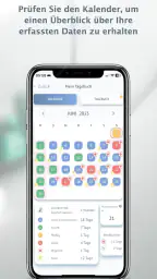 Migränekalender screenshot