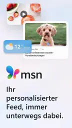 MSN screenshot