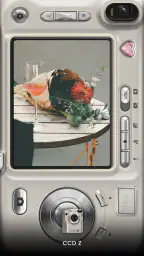 OldRoll - Vintage Film Kamera screenshot