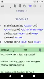 Online Bibel screenshot