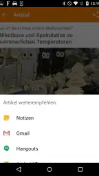 OSTHESSEN|NEWS screenshot