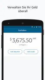 PayPal Business screenshot
