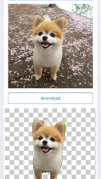 Pencil Camera screenshot