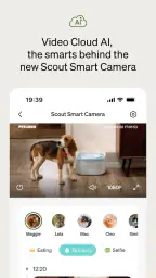 Petlibro screenshot