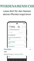 Pferdesport Deutschland screenshot
