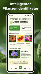 Pflanzen Erkennen auf Deutsch screenshot