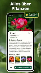 Pflanzen Erkennen auf Deutsch screenshot