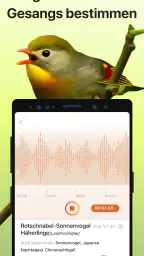 Picture Bird - Vögel bestimmen screenshot