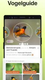 Picture Bird - Vögel bestimmen screenshot