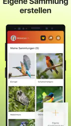 Picture Bird - Vögel bestimmen screenshot