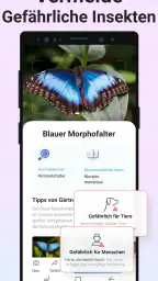 Picture Insect - Insekten ID screenshot