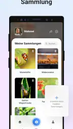 Picture Insect - Insekten ID screenshot