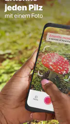 Picture Mushroom - Pilzführer screenshot