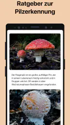 Picture Mushroom - Pilzführer screenshot