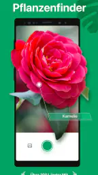 PictureThis:Pflanzen bestimmen screenshot