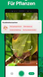 PictureThis:Pflanzen bestimmen screenshot