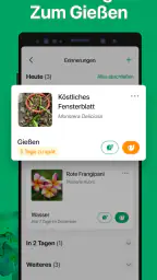 PictureThis:Pflanzen bestimmen screenshot