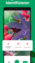PictureThis:Pflanzen bestimmen screenshot