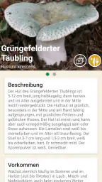 Pilze app screenshot