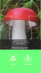 Pilze app screenshot