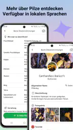 Pilzidentifikator screenshot