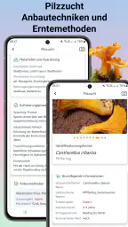 Pilzidentifikator screenshot
