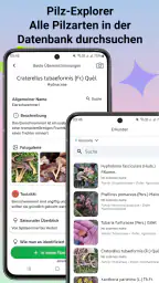 Pilzidentifikator screenshot
