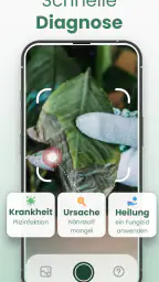 Plantify : Pflanzen Erkennen screenshot