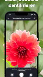 PlantIn - Pflanzen erkennen screenshot
