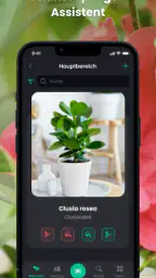 PlantIn - Pflanzen erkennen screenshot