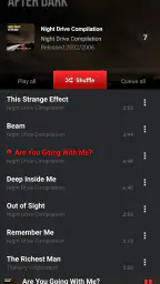 PlayerPro Music Player screenshot