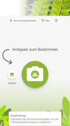 Pl@ntNet Pflanzenbestimmung screenshot