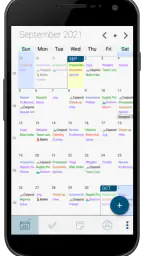 Pocket Informant screenshot