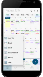Pocket Informant screenshot