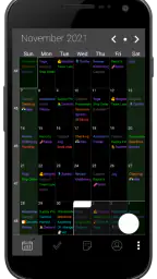 Pocket Informant screenshot