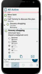 Pocket Informant screenshot