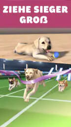 Pocket Paws: Meine süßen Hunde screenshot