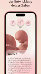 Preglife - Schwangerschaftsapp screenshot