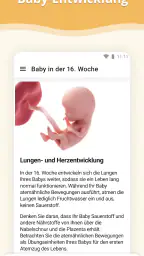 Schwangerschafts-App screenshot