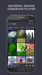 Pulsar Musik-Spieler Pro screenshot