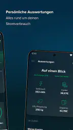 rabot.energy screenshot