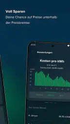 rabot.energy screenshot