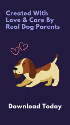 Relax My Dog : Calmly screenshot