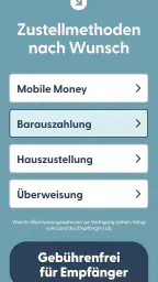 Remitly: Geld senden screenshot