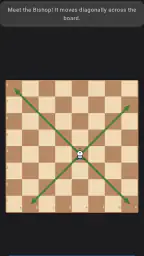 Schach lernen: Schach spielen screenshot