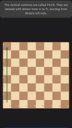 Schach lernen: Schach spielen screenshot